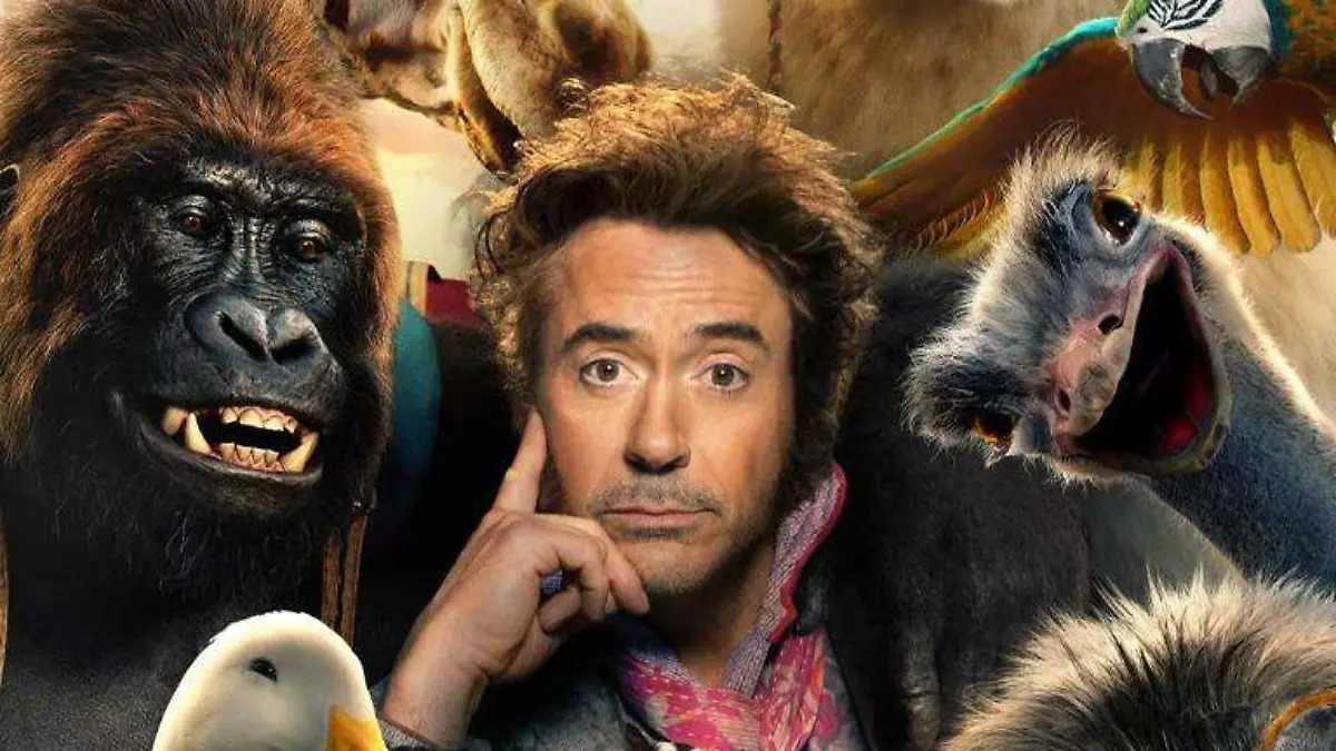 Dolittle Downey Jr.